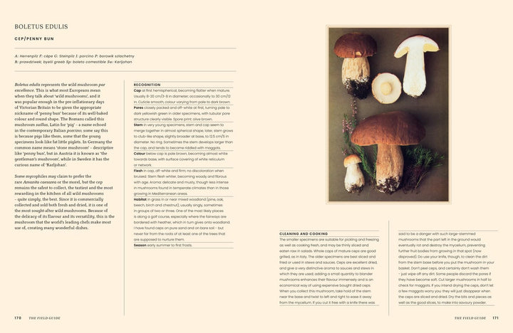 A Passion for Mushrooms