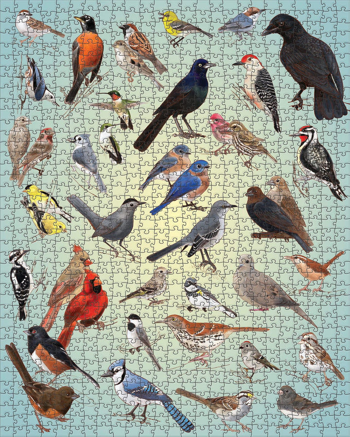 Casey Girard: Backyard Birds 1000 Piece Puzzle