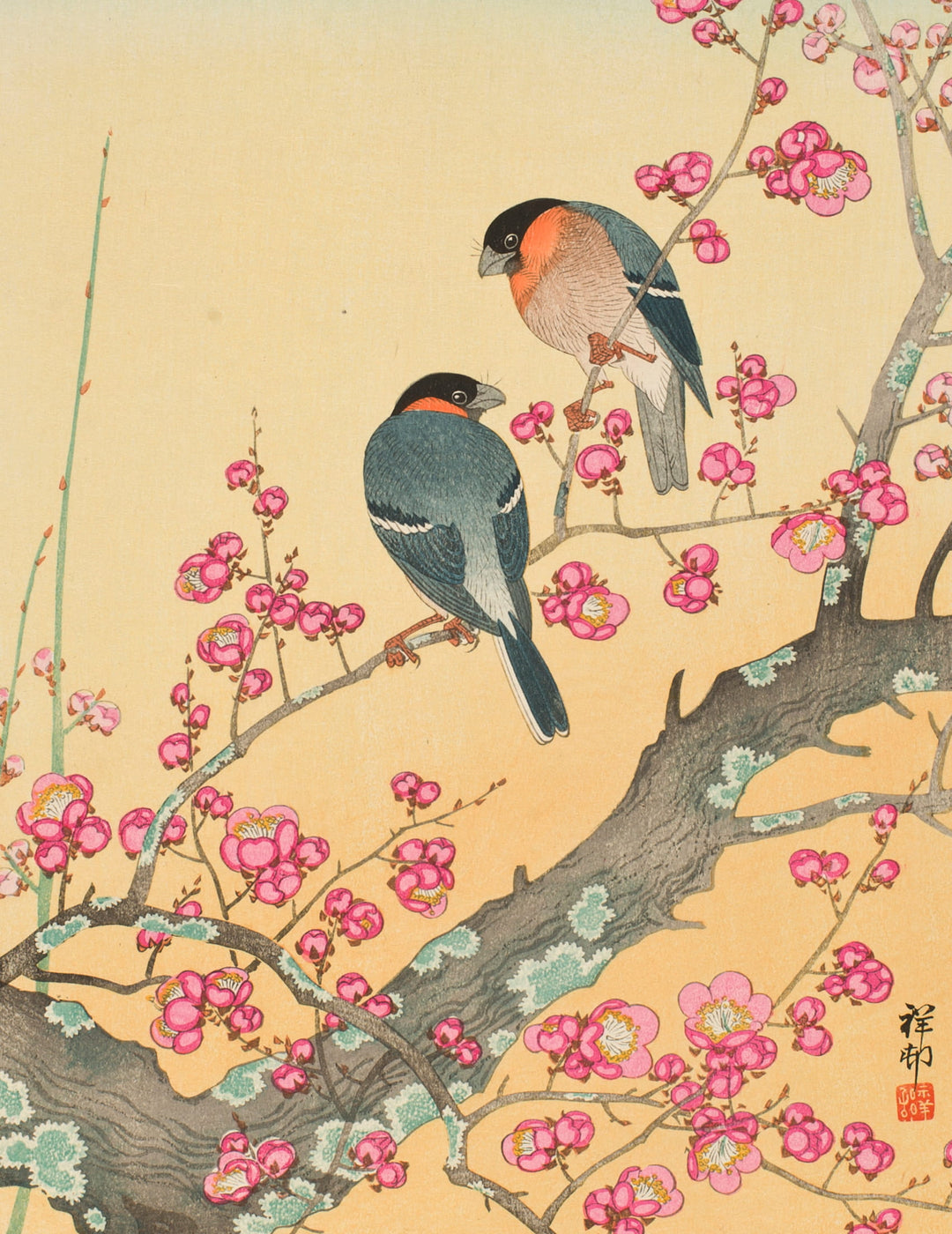 Ohara Shōson Keepsake Boxed Notecards