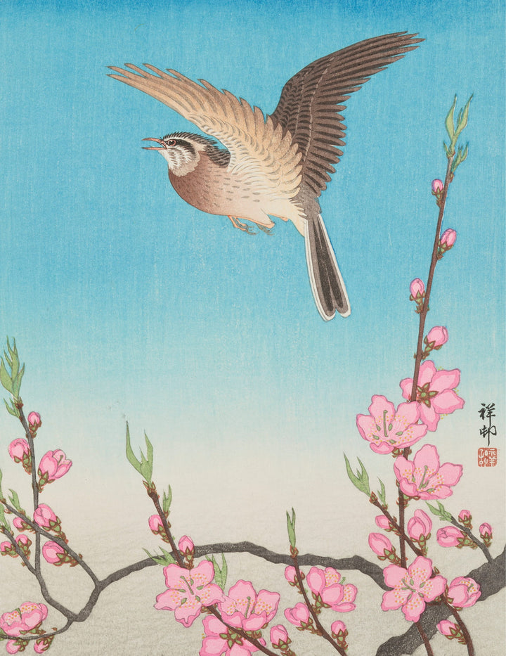 Ohara Shōson Keepsake Boxed Notecards