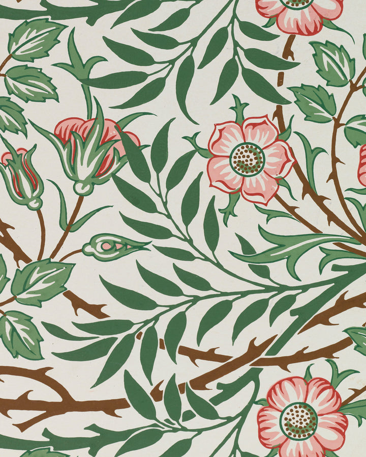 William Morris Keepsake Boxed Notecards