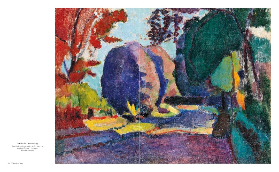 Matisse - The Bigger Picture