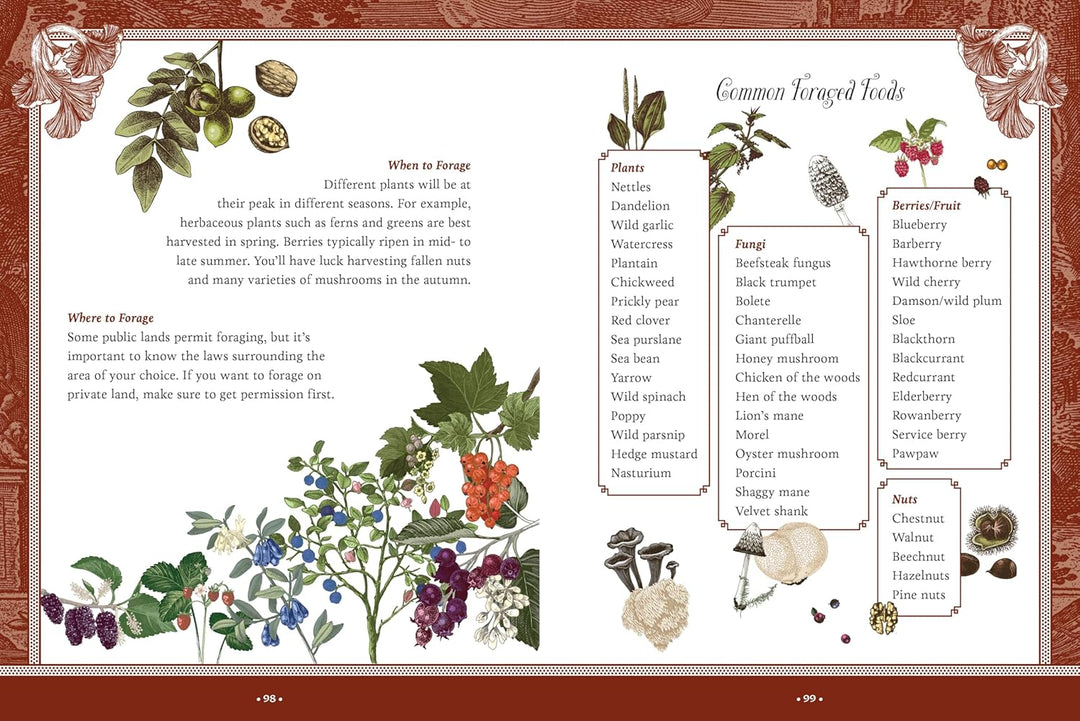 Forest, Fairies, Mushrooms and Goblins Sticker, Color & Activity Book: Over 500 Unique Stickers