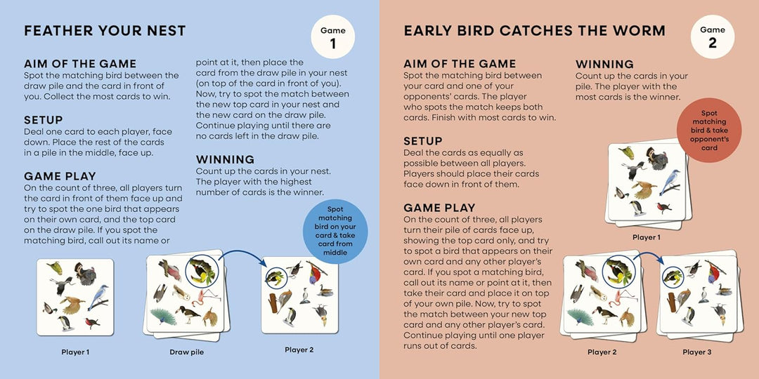 Bird Spotter: Race to be first to find the matching birds
