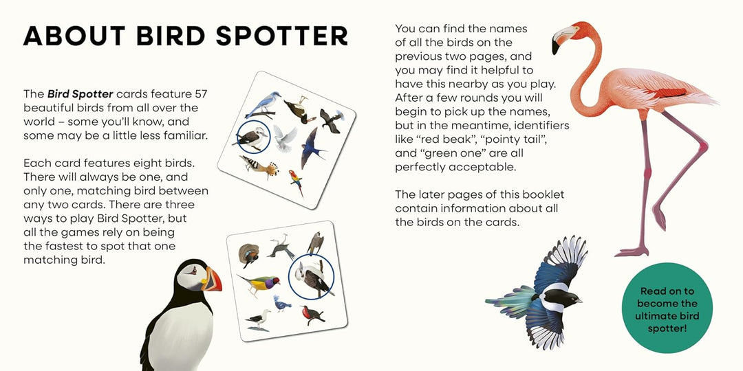 Bird Spotter: Race to be first to find the matching birds