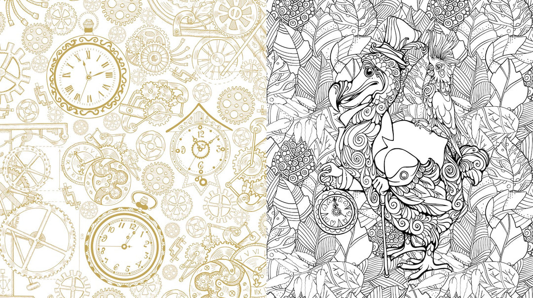 Oddities & Curiosities Coloring Book: A Coloring Journey Through the Weird and the Wonderful