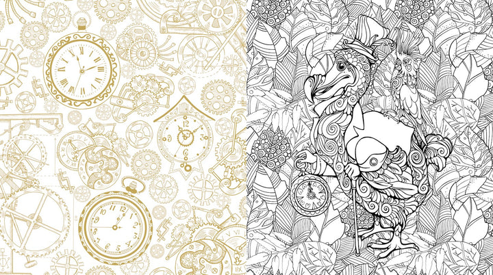 Oddities & Curiosities Coloring Book: A Coloring Journey Through the Weird and the Wonderful