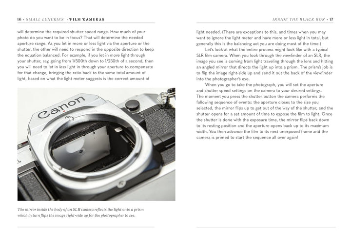 Film Cameras - Small Luxuries