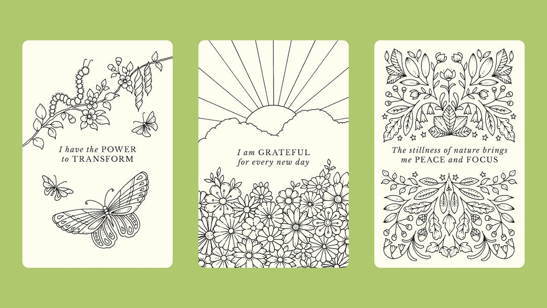 Johanna Basford's Notes from Nature - 30 Affirmations Cards to Colour