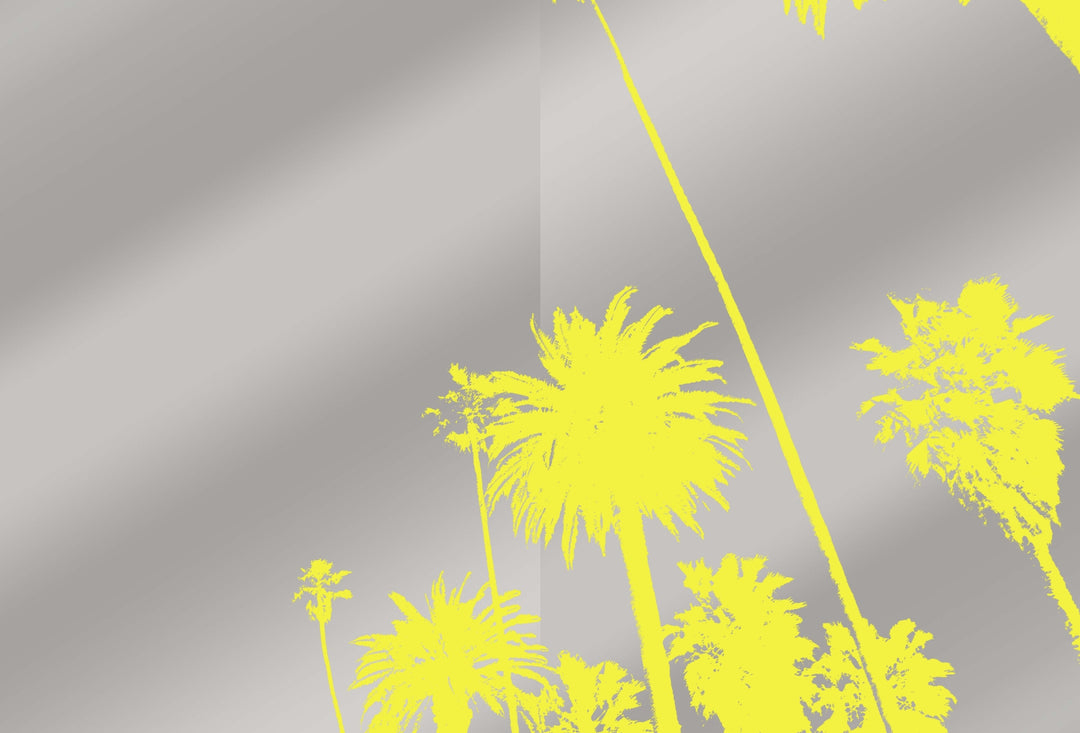 Decoding Palm Culture