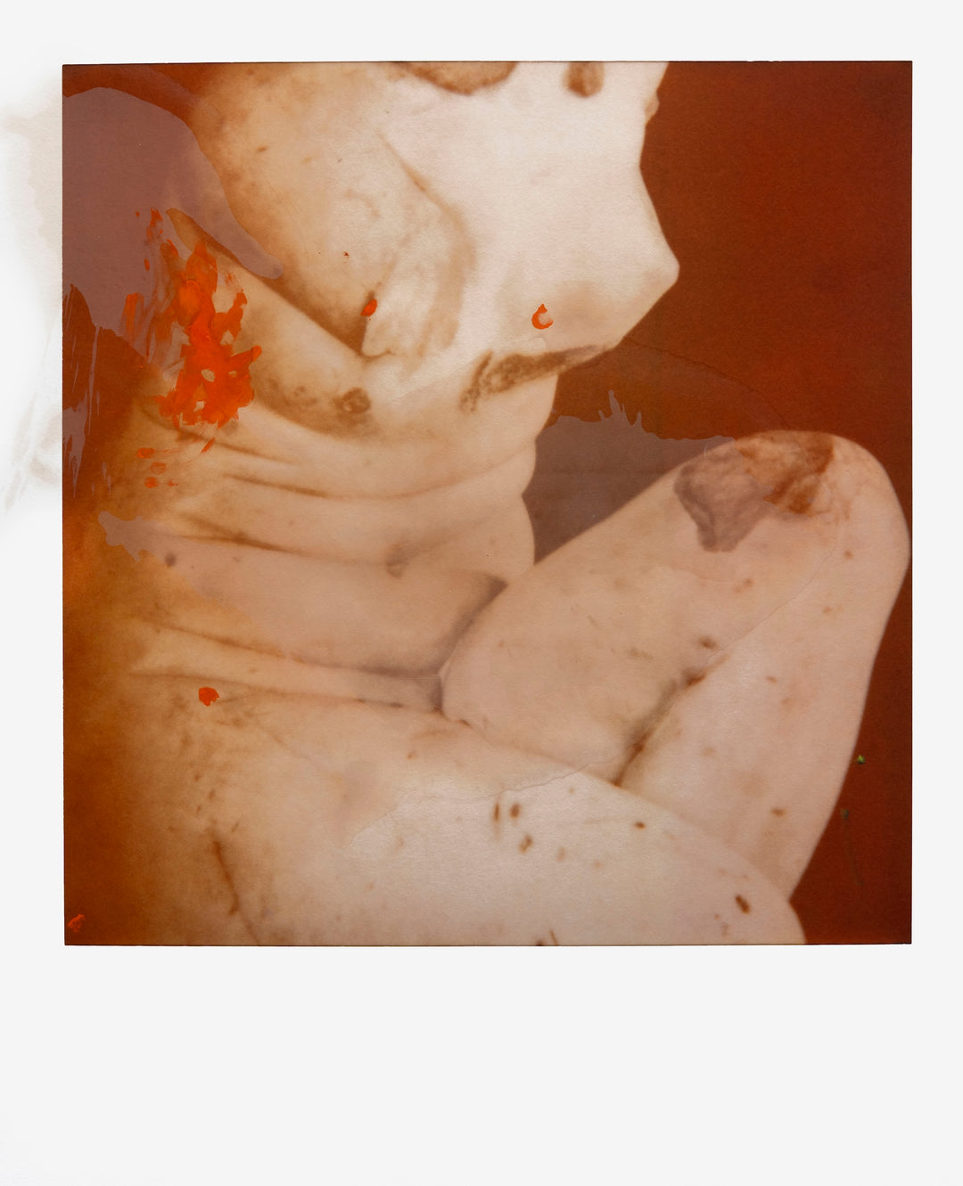 Francois Halard: Art & Flowers