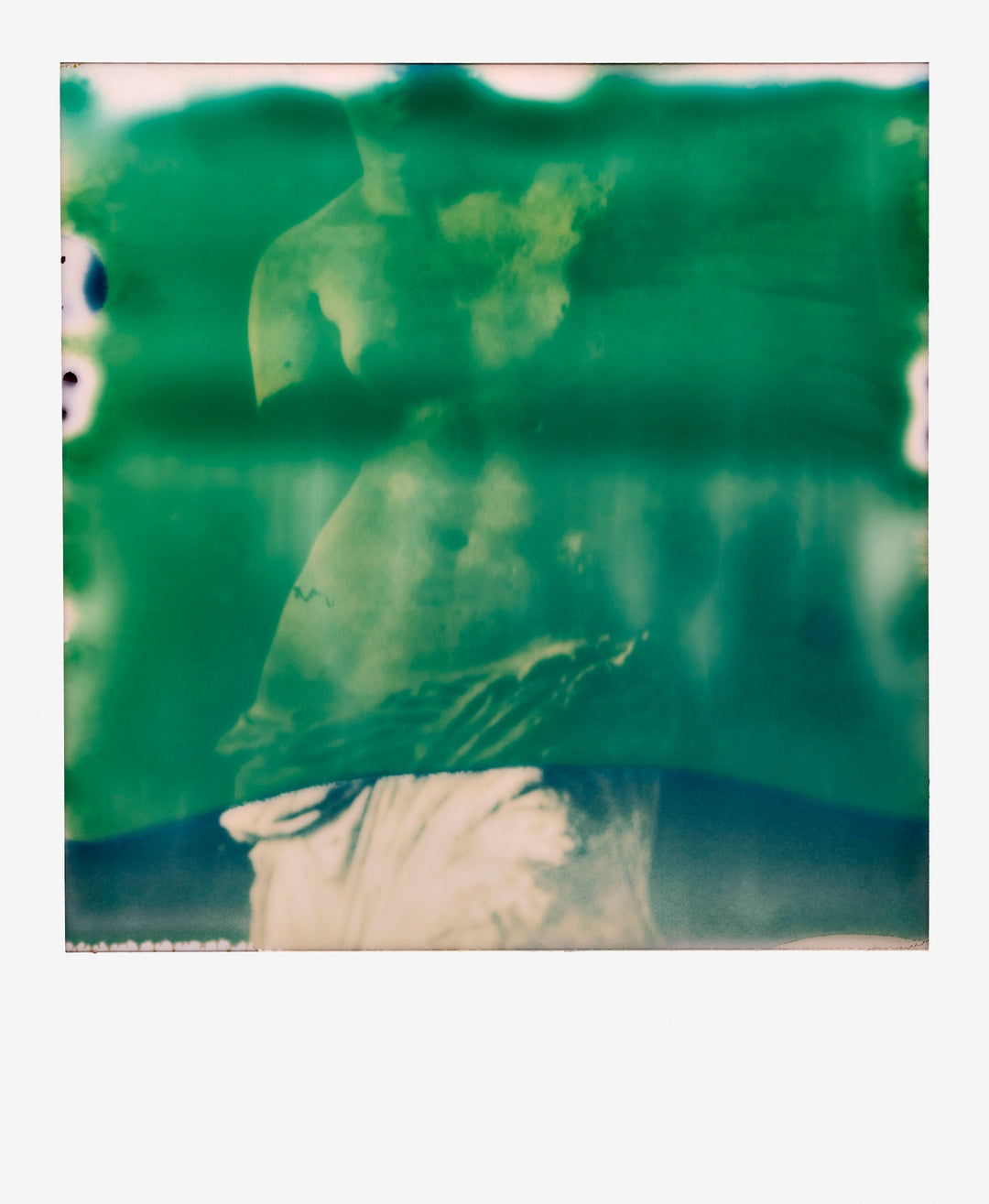 Francois Halard: Art & Flowers