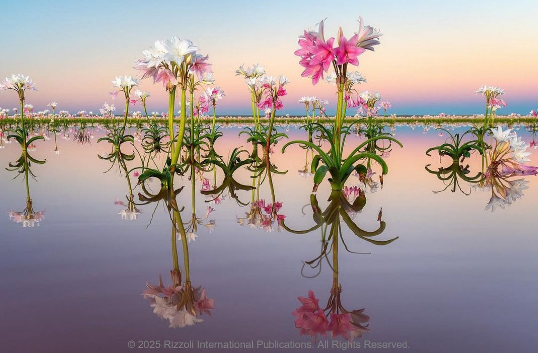 Flora Culture