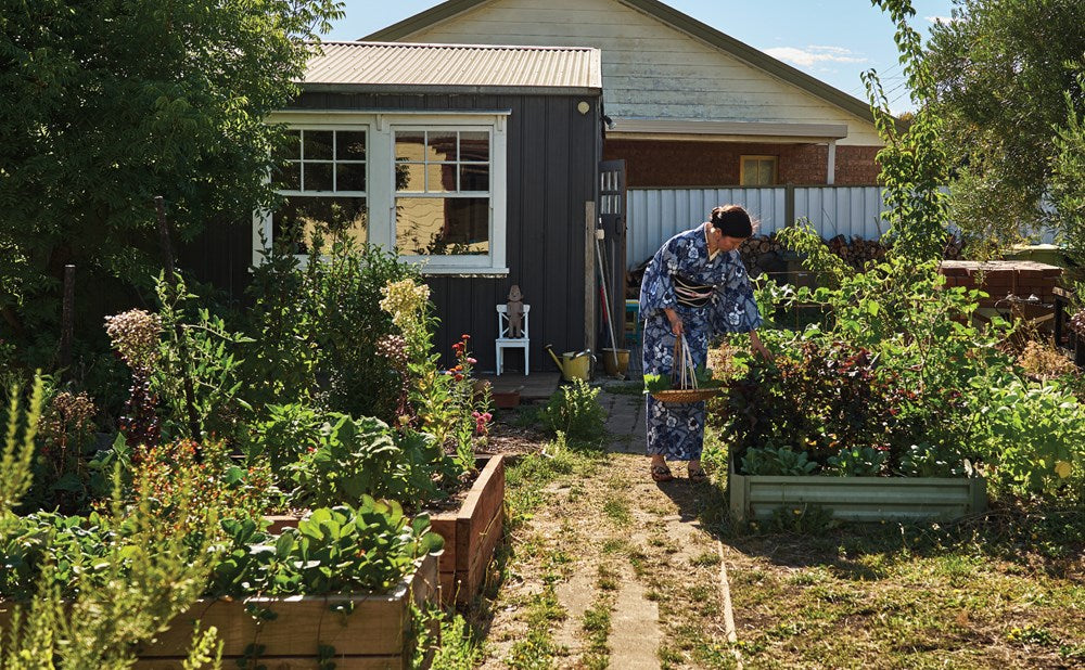 The Japanese Art of Pickling & Fermenting
