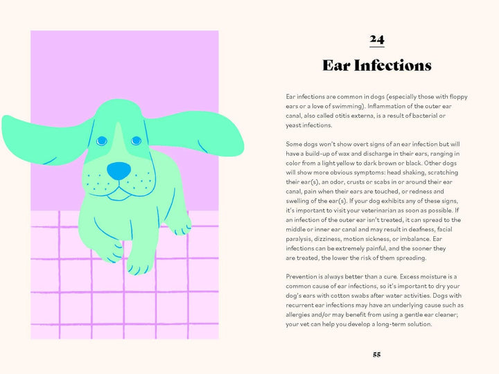 The Ultimate Guidebook for Dog Owners