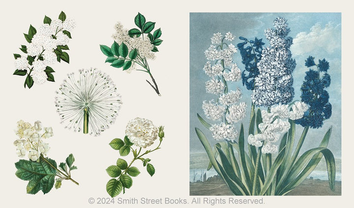 The Sticker Treasury of Blooms and Butterflies