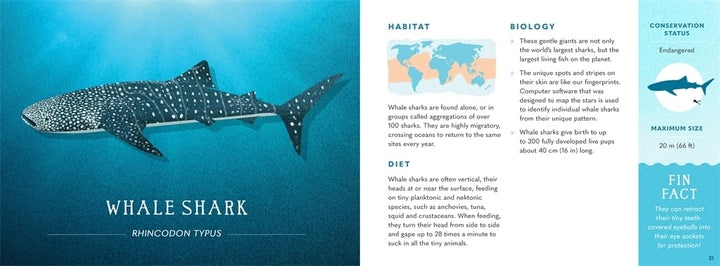 Wonders of the Wild - Sharks