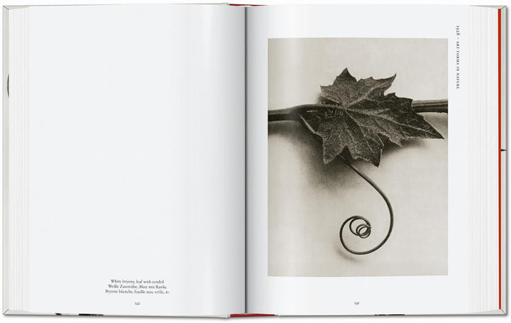 Karl Blossfeldt. The Complete Published Work. 40th Edt.