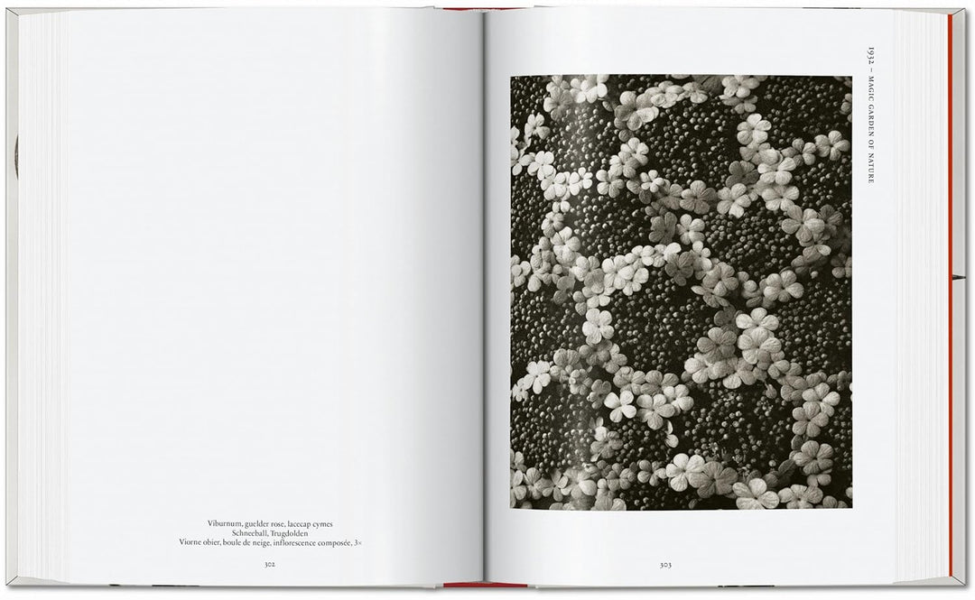 Karl Blossfeldt. The Complete Published Work. 40th Edt.