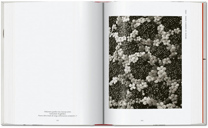 Karl Blossfeldt. The Complete Published Work. 40th Edt.