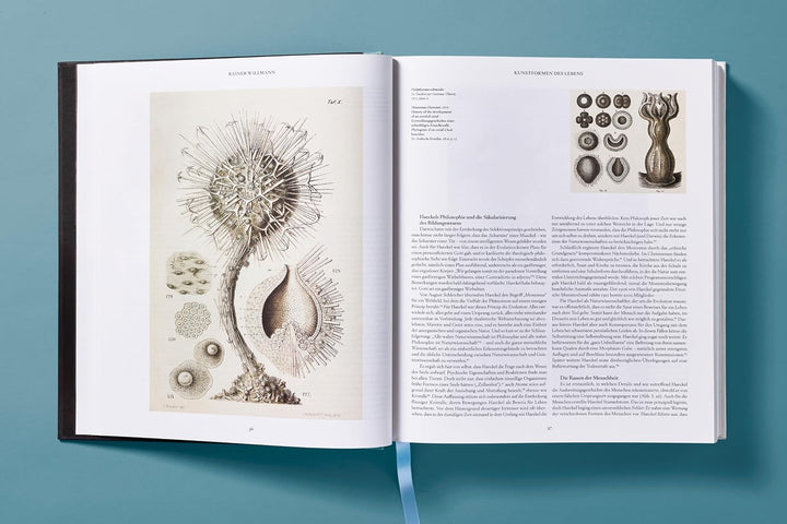 The Art and Science of Ernst Haeckel