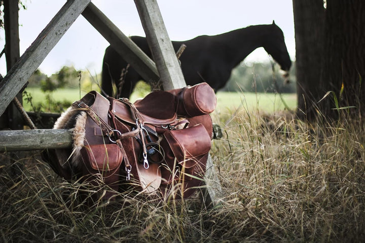 Equestrian