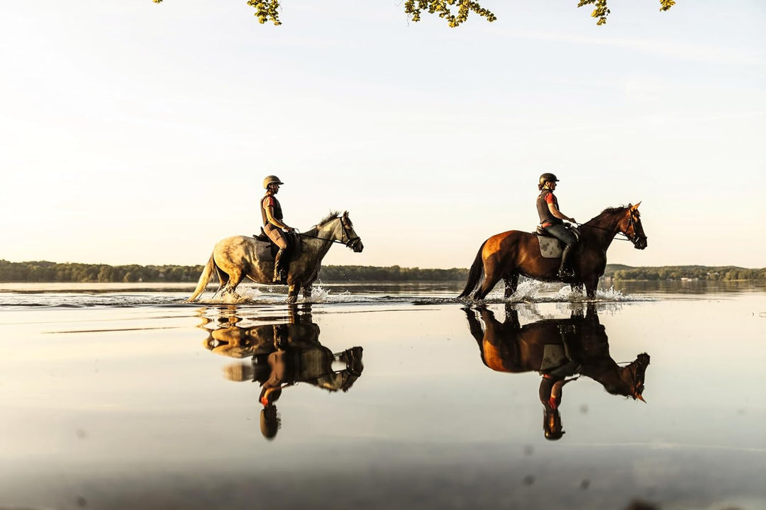 Equestrian