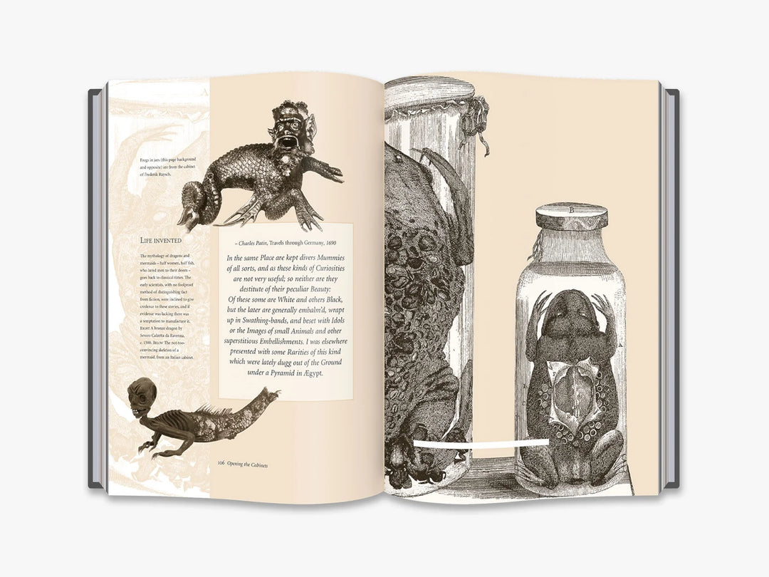 Cabinets of Curiosities