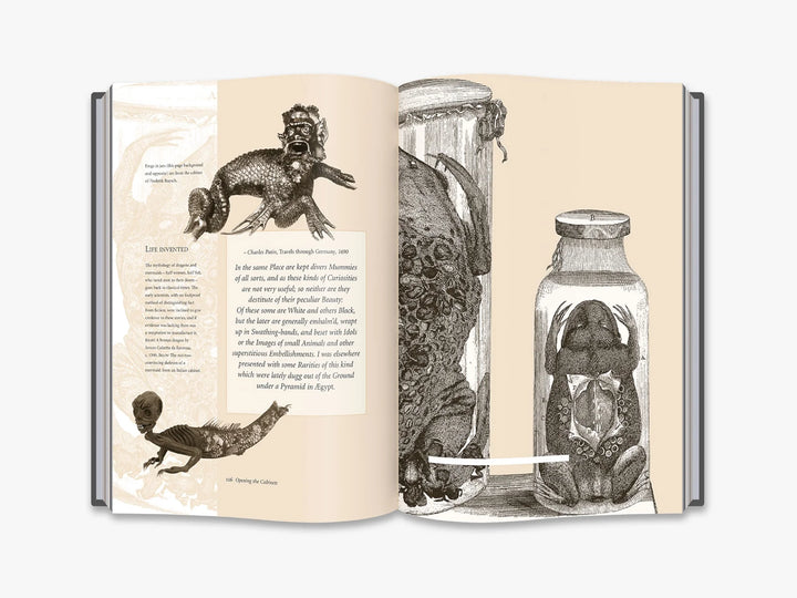 Cabinets of Curiosities