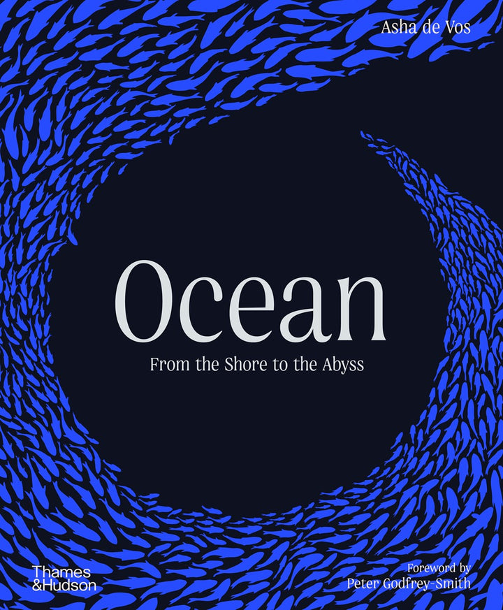 Ocean - From the Shore to the Abyss