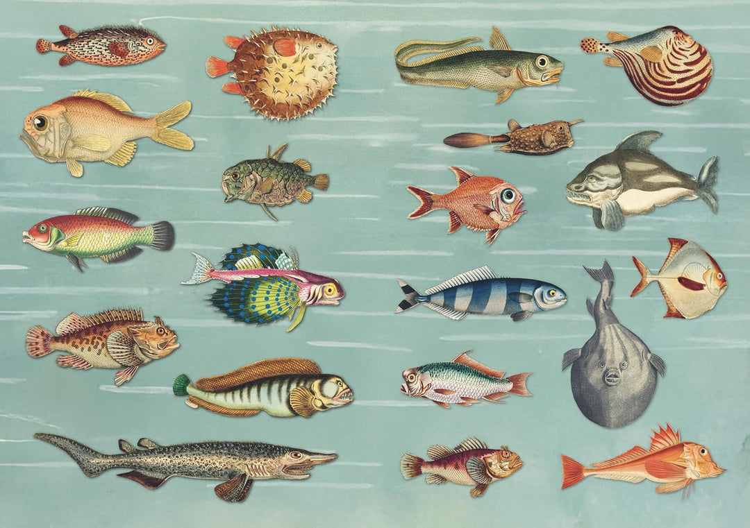 The Curious Collectibles Sticker Book