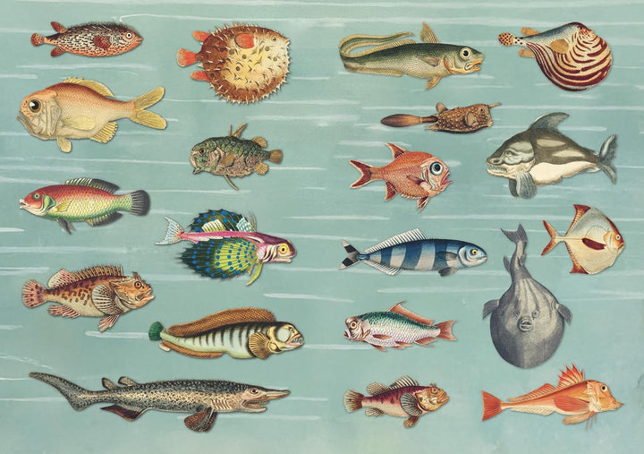 The Curious Collectibles Sticker Book