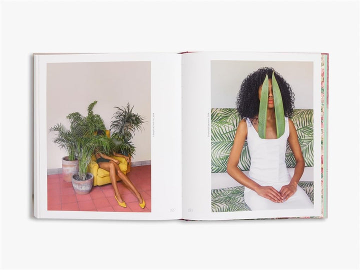 Brooke DiDonato - Take a Picture. It Will Last Longer