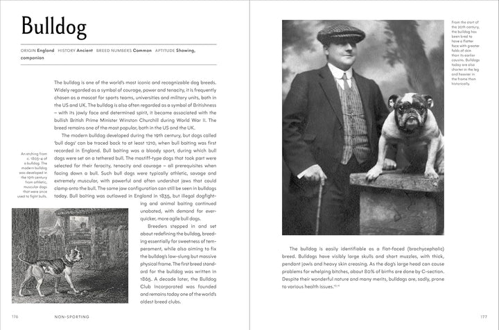 The Invention of the Dog 75