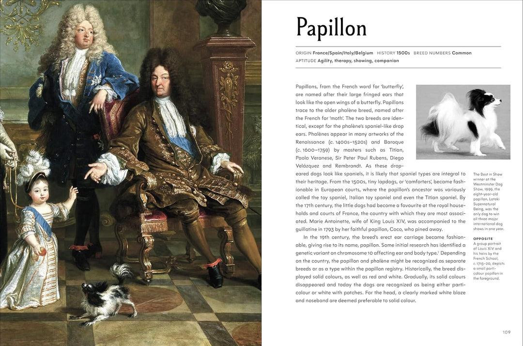 The Invention of the Dog 75