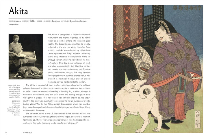 The Invention of the Dog 75