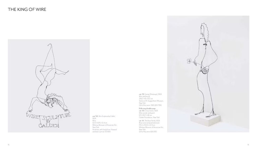 Calder - Dreaming in Equilibrium