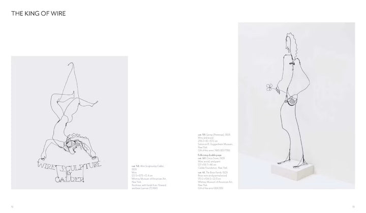 Calder - Dreaming in Equilibrium